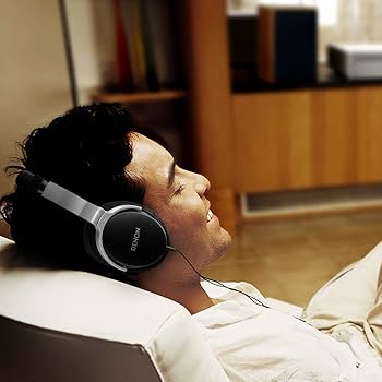 DENON 有線ヘッドホン DENON（デノン）おすすめヘッドホン・イヤホン11選